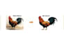 convert your image into vector format